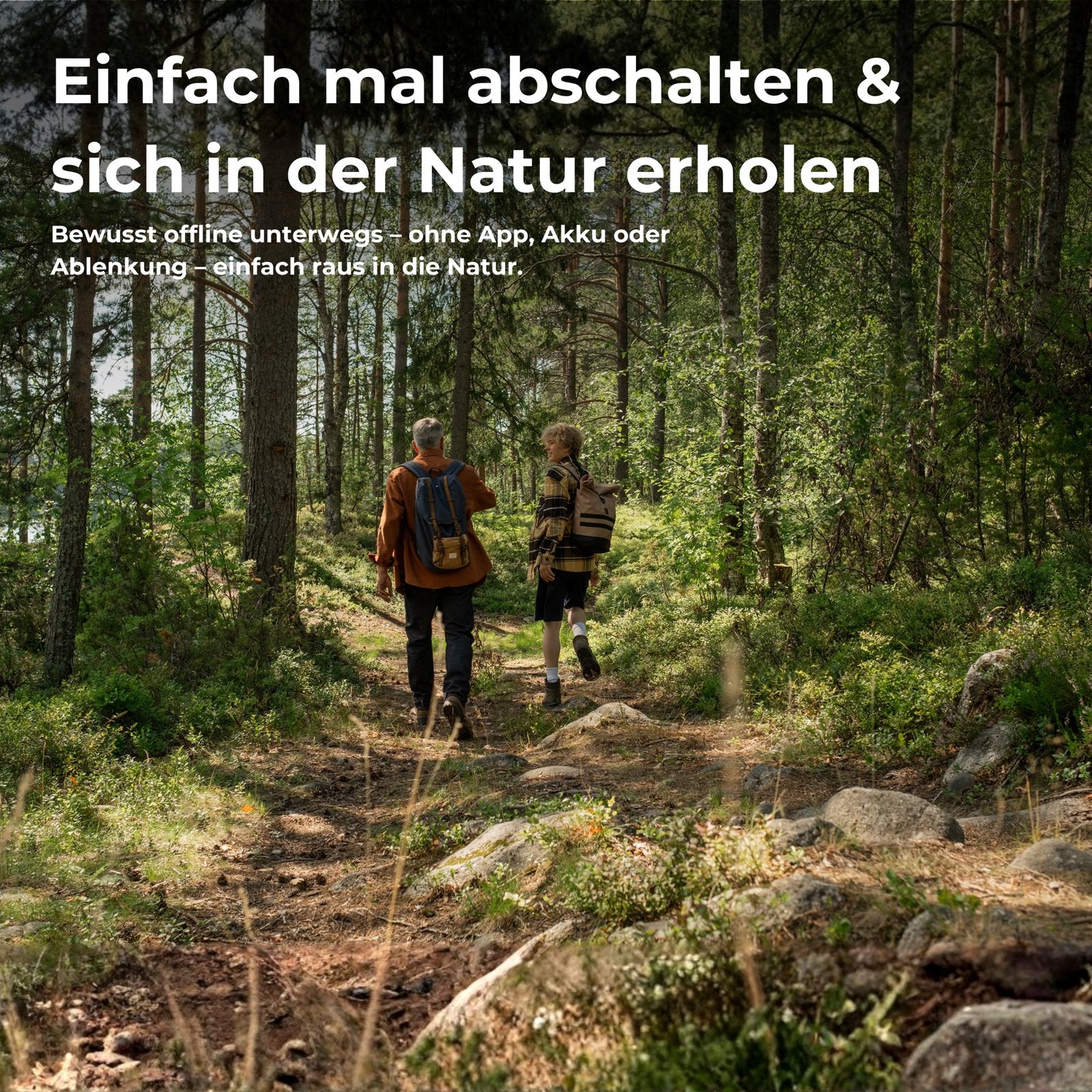 Wesenbergkarten Verpackung